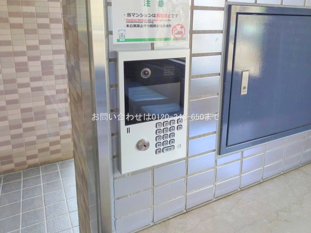 撮影日(2025-07-09 00:00:00)