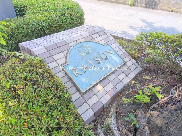 撮影日(2025-07-09 00:00:00)