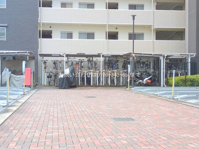 撮影日(2025-07-14 00:00:00)
