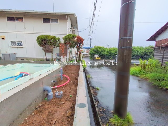 撮影日(2025-07-15 00:00:00)