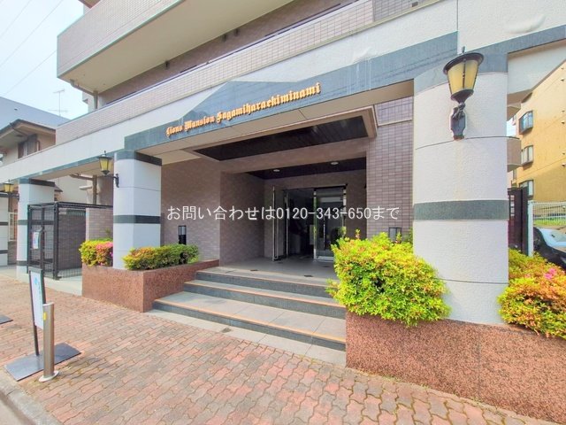 撮影日(2025-06-09 00:00:00)