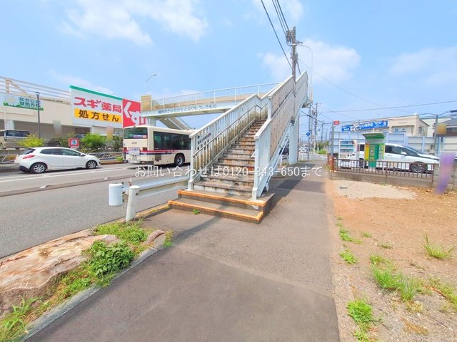 撮影日(2025-07-08 00:00:00)