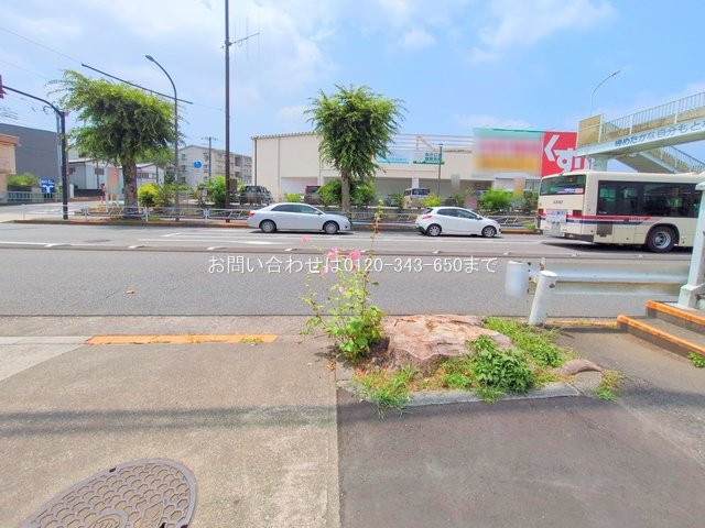 撮影日(2025-07-08 00:00:00)