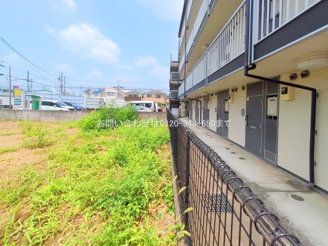 撮影日(2025-07-08 00:00:00)