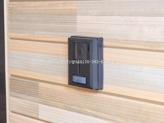 撮影日(2025-07-15 00:00:00)