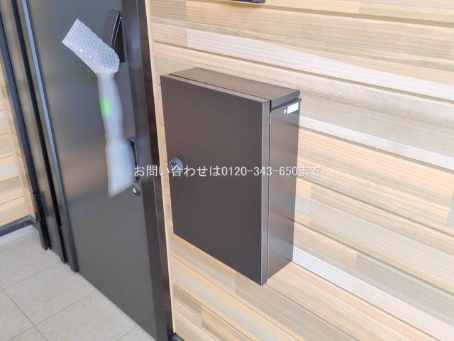 撮影日(2025-07-15 00:00:00)