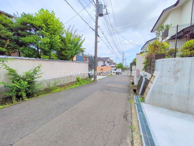 撮影日(2025-07-17 00:00:00)