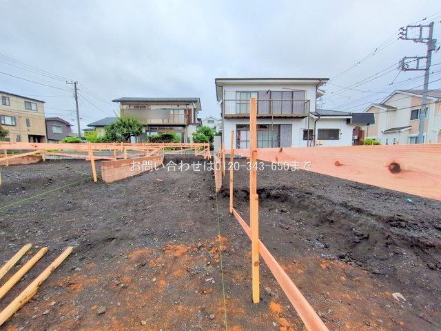 撮影日(2025-06-11 00:00:00)