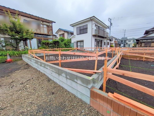 撮影日(2025-06-11 00:00:00)