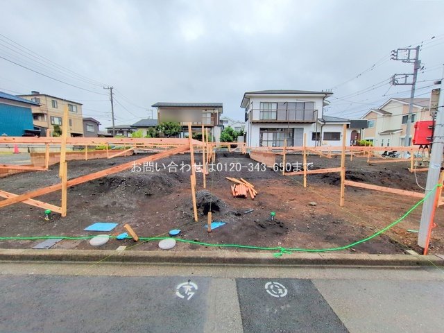 撮影日(2025-06-11 00:00:00)