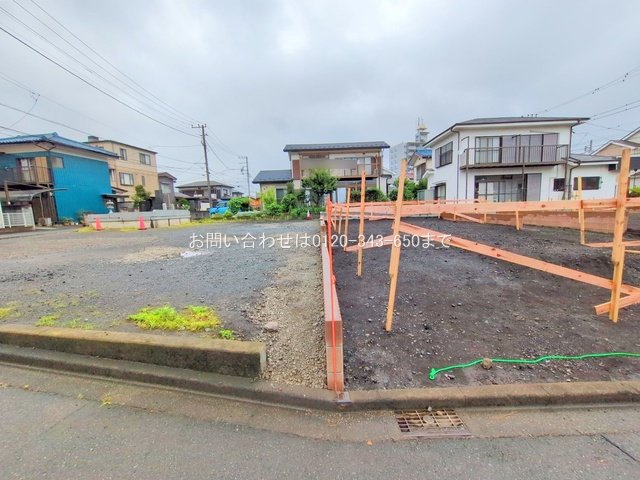 撮影日(2025-06-11 00:00:00)