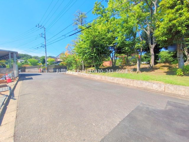 撮影日(2025-07-23 00:00:00)