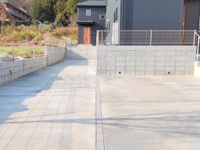 撮影日(2025-03-26 00:00:00)