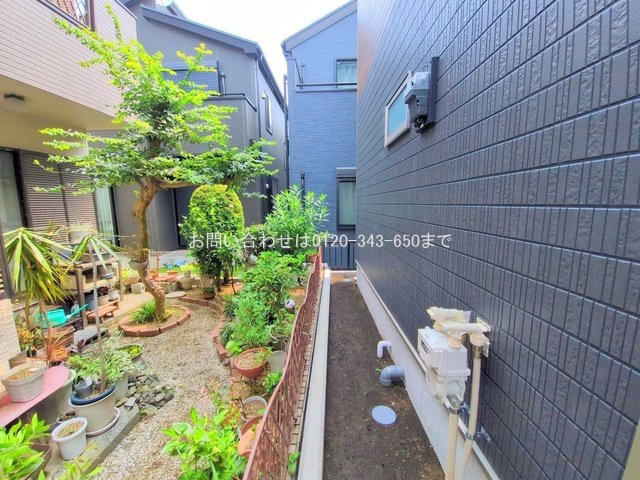 撮影日(2025-07-23 00:00:00)