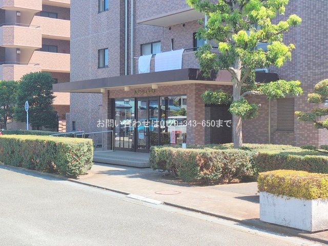 撮影日(2025-07-23 00:00:00)