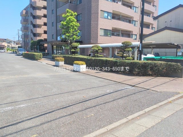 撮影日(2025-07-23 00:00:00)
