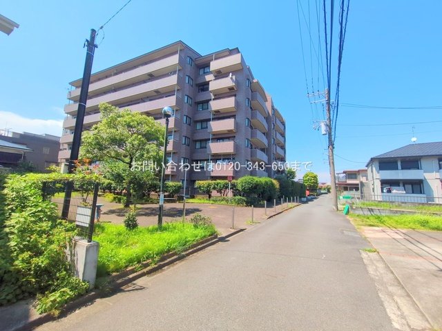 撮影日(2025-07-23 00:00:00)