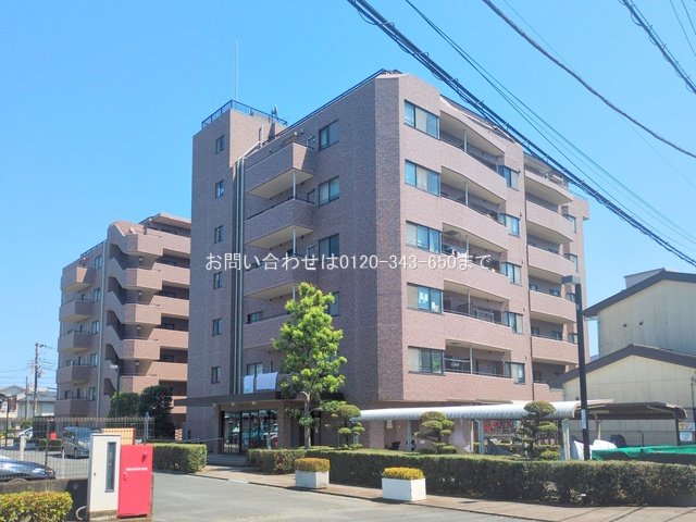 撮影日(2025-07-23 00:00:00)