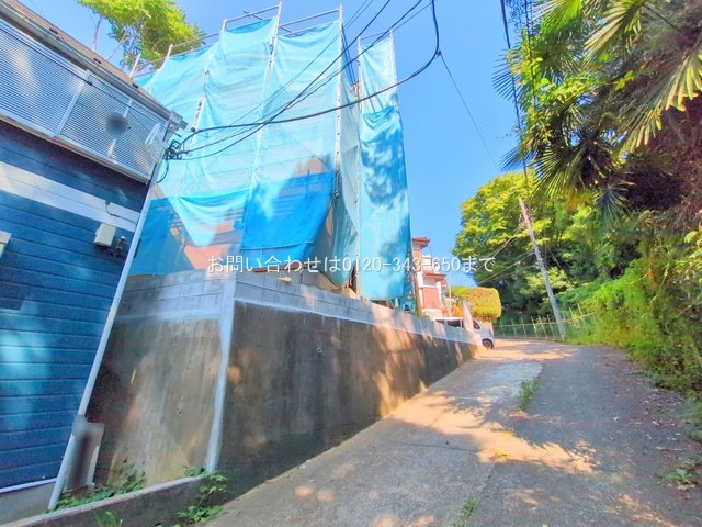 撮影日(2025-07-28 00:00:00)