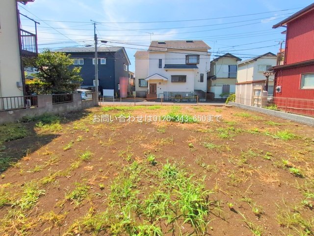 撮影日(2025-07-28 00:00:00)