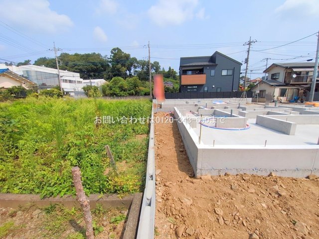 撮影日(2025-08-22 00:00:00)