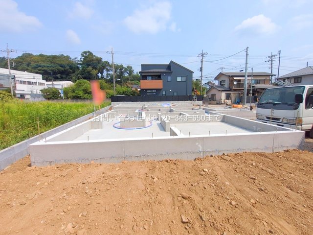 撮影日(2025-08-22 00:00:00)