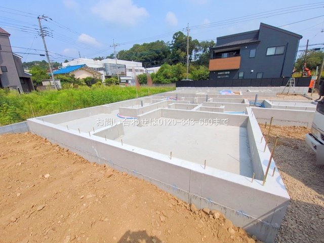撮影日(2025-08-22 00:00:00)