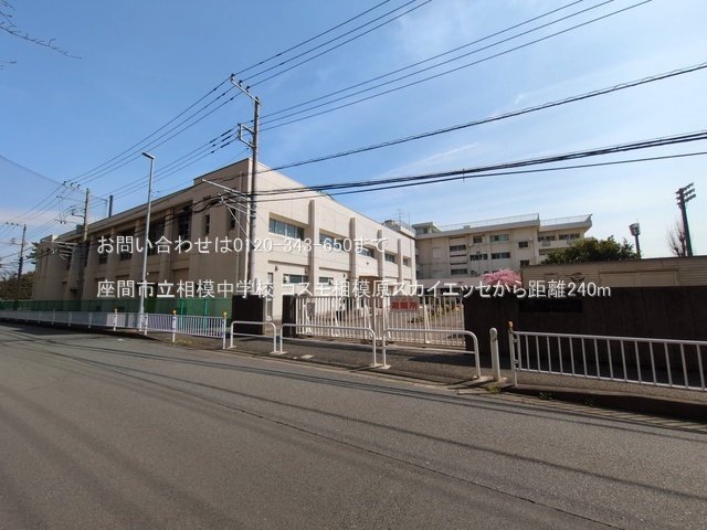 座間市立相模中学校 撮影日(2025-03-14) 240m