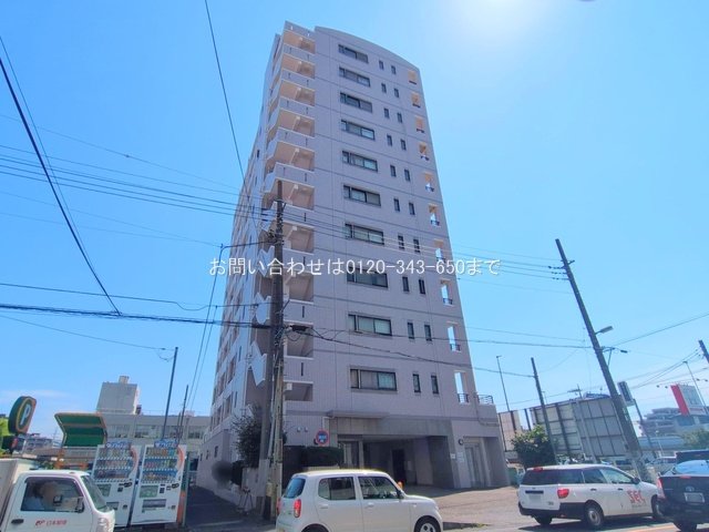 撮影日(2025-07-23 00:00:00)