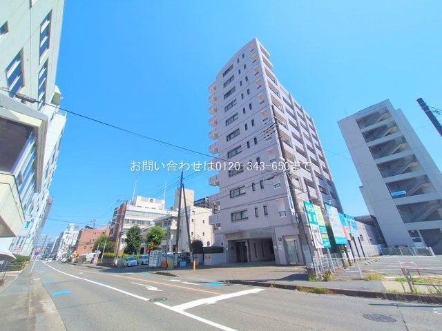 撮影日(2025-07-23 00:00:00)