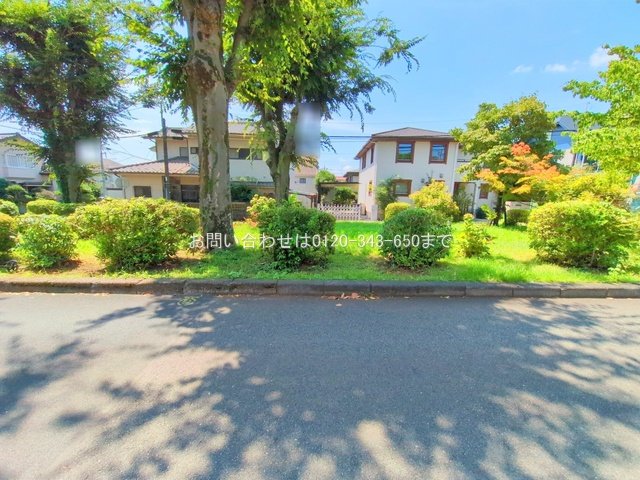 撮影日(2025-07-28 00:00:00)