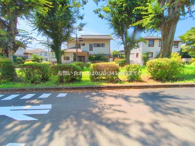 撮影日(2025-07-28 00:00:00)
