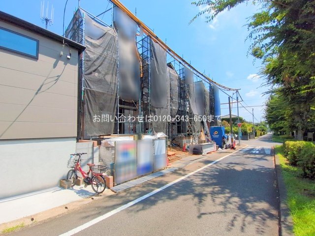 撮影日(2025-07-28 00:00:00)