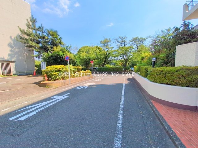 撮影日(2025-07-28 00:00:00)