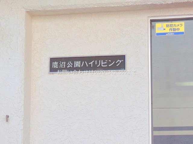 撮影日(2025-07-28 00:00:00)