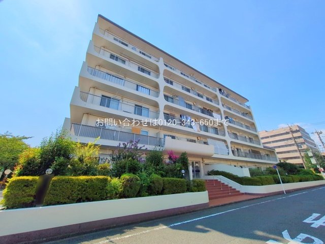 撮影日(2025-07-28 00:00:00)