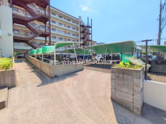 撮影日(2025-07-28 00:00:00)