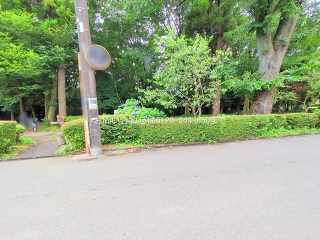 撮影日(2025-07-14 00:00:00)