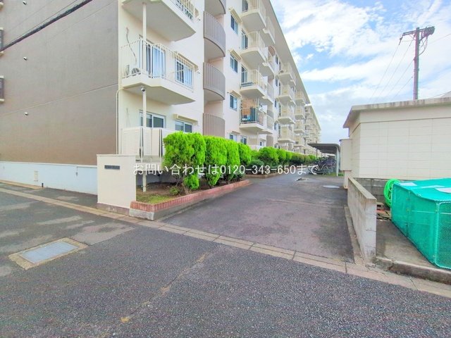 撮影日(2025-07-16 00:00:00)