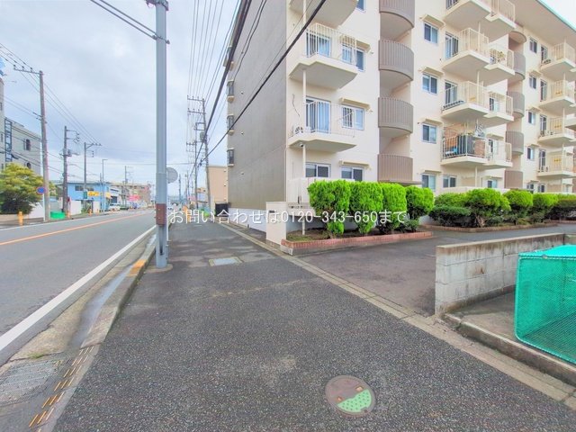 撮影日(2025-07-16 00:00:00)