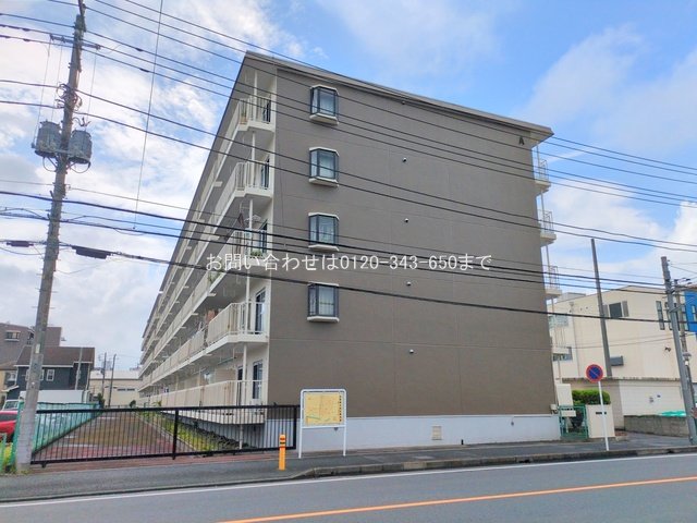 撮影日(2025-07-16 00:00:00)