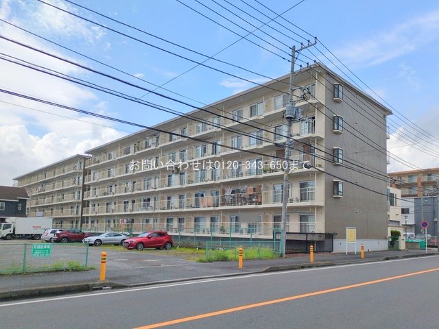 撮影日(2025-07-16 00:00:00)