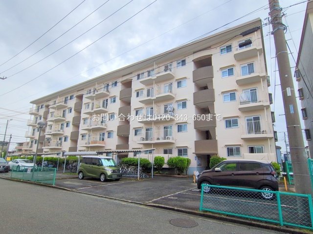 撮影日(2025-07-16 00:00:00)