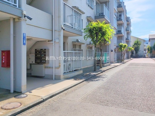 撮影日(2025-07-24 00:00:00)