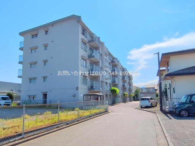 撮影日(2025-07-24 00:00:00)