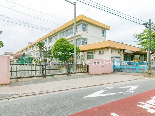 八王子市立散田小学校 撮影日(2022-04-26) 260m