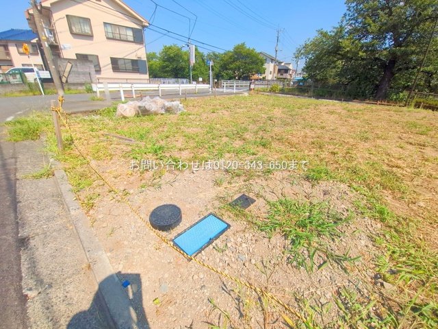 撮影日(2025-07-23 00:00:00)
