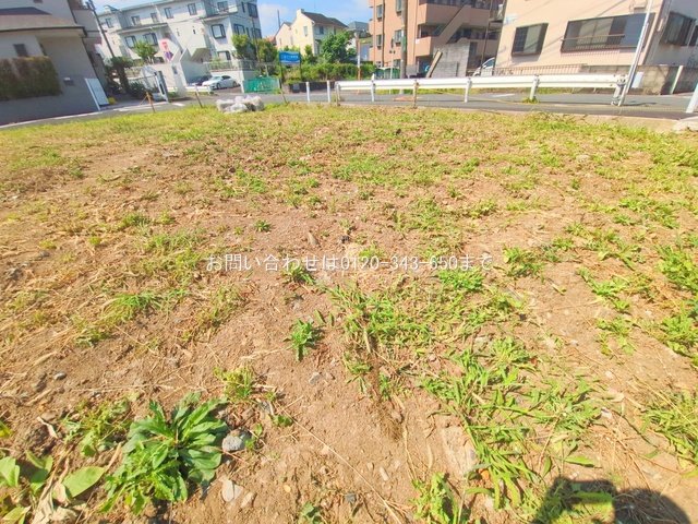 撮影日(2025-07-23 00:00:00)