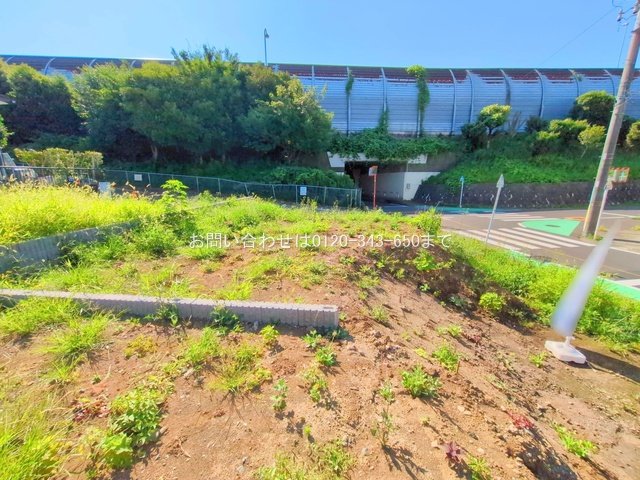 撮影日(2025-07-25 00:00:00)