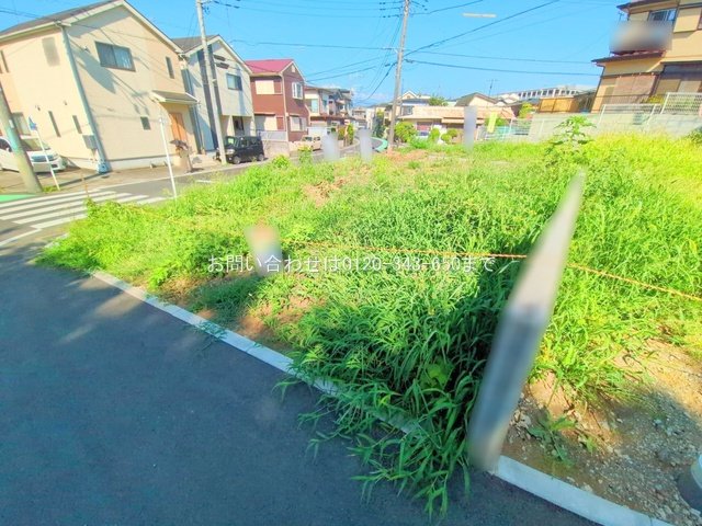 撮影日(2025-07-25 00:00:00)